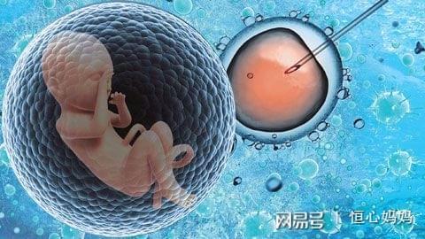 张暖春主任
